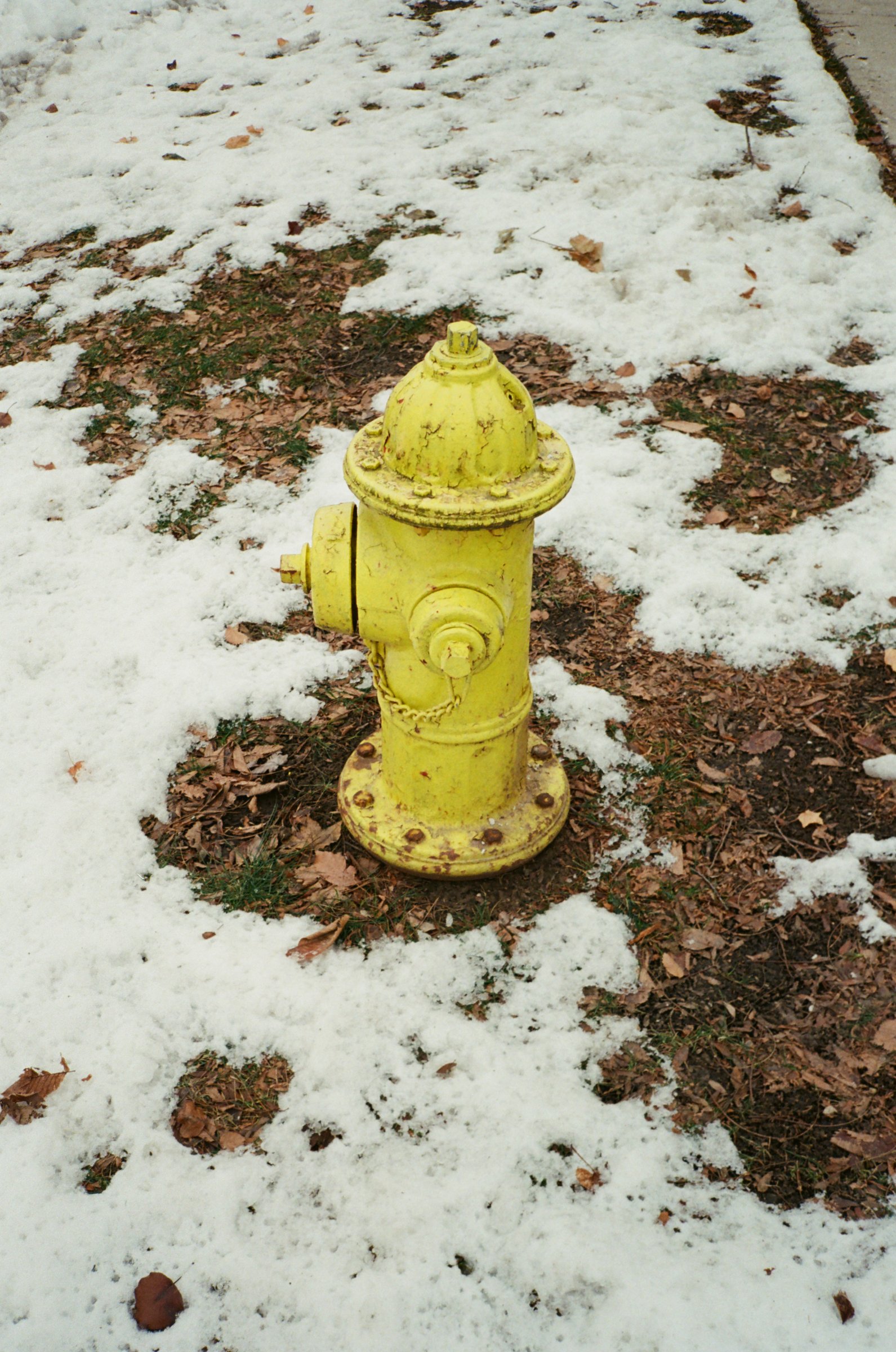 Example